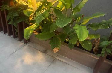 Flat NOA Residence Club Ponta de Campina - Foto 15