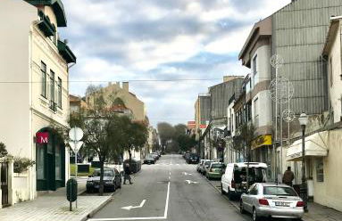 Estrelícia - Foto 27