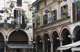 Il NIDO sul TICINO - Foto 38