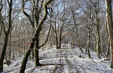 Auszeit-bei-Brandt im Sauerland - Foto 24