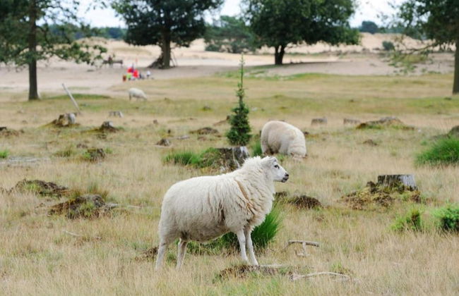 Chalet in Dutch Park With Garden and Terrace - Foto 32