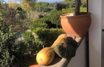 Appartamento tra sole, mare e natura - Foto 35