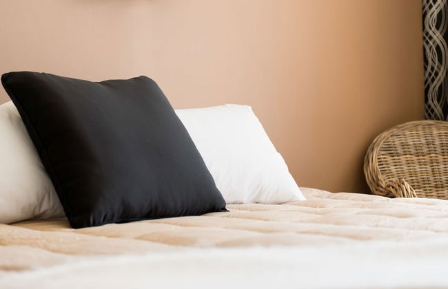 Waitangi Beach House - Foto 8