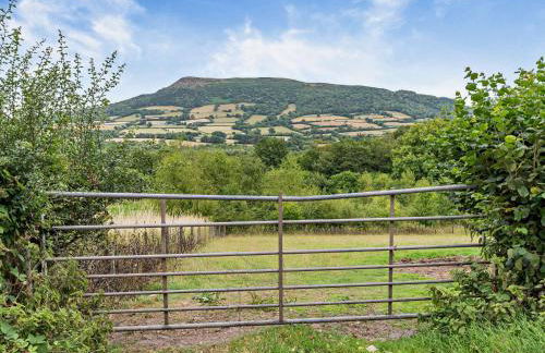 1 Bed in Pantygelli 47884 - Foto 20