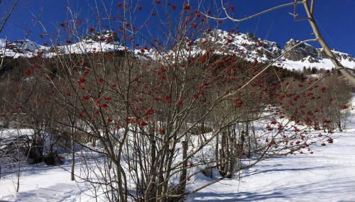 Rustic & A Chalet 'Le Sert du Grey - Vaujany - Foto 2