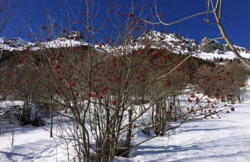 Rustic & A Chalet 'Le Sert du Grey - Vaujany - Foto 2
