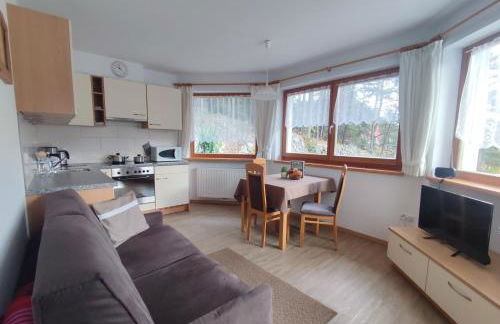 Pramstaller Apartments - Photo 51