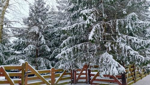 Dom Black&White - Foto 2