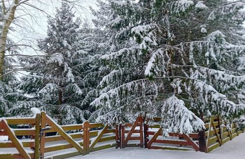 Dom Black&White - Photo 2