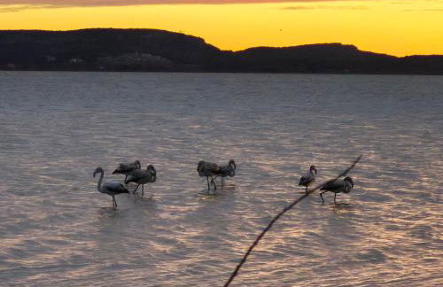Gîte La Tchoupetta - Foto 21