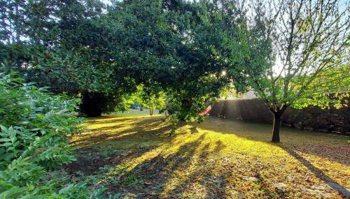 Les Gîtes du Grand Chêne - Foto 3, Garden