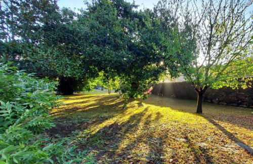 Les Gîtes du Grand Chêne - Foto 3