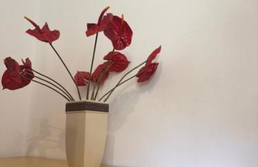 La Casa in Piazza - Foto 6