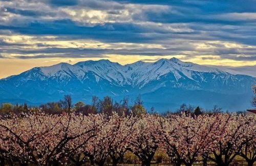 Gite CATHARE en OCCITANIE - Foto 50