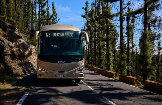Teide Stargazing Tour from North Tenerife - Foto 5