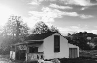 Estudio 33 - Foto 37