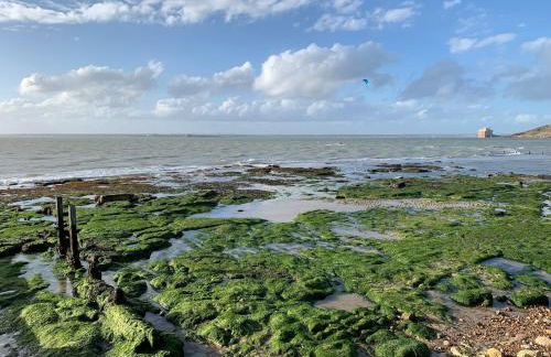 Fort View- Totland - Photo 19