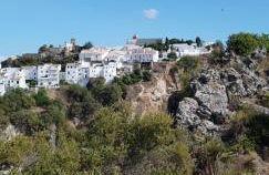 PUERTO ESTEPONA - Photo 48