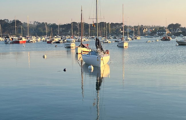 Les écolodges Sous Le Phare - Foto 92