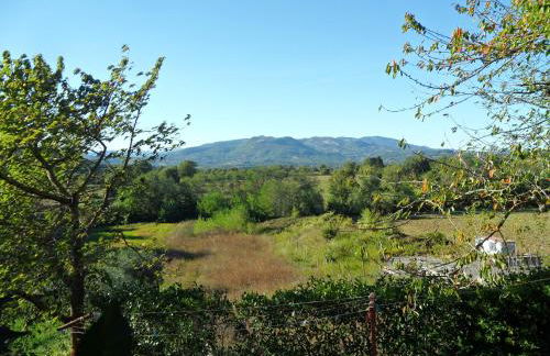 Appartamento TRE QUERCE di Guerrini Patrizia - Foto 3