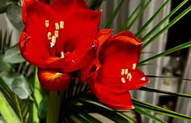 nah zur S-Bahn und Altstadt - Foto 6