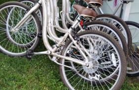 The Gold Room near downtown trains fast wifi - Photo 56