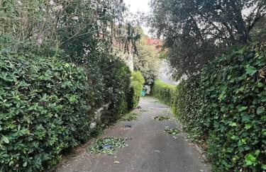 Alojamiento en casa de montaña - Photo 7