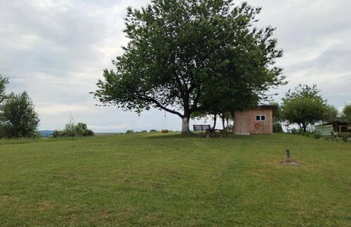 Yellow Rose - Foto 14