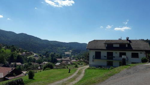 Gîte de famille dans les Vosges - Foto 3, Garden, Garden view