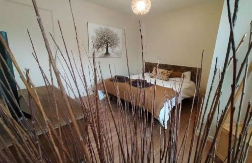 Maison et parking privé proche zénith et volcans. - Foto 1