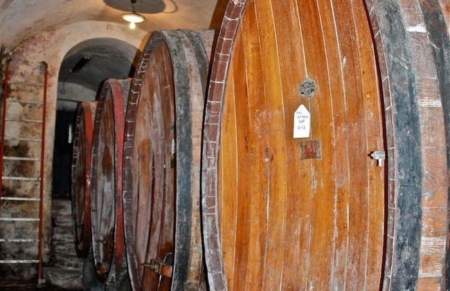 Agriturismo Fattoria di Castiglionchio - Foto 53