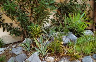 Dialiskari #2 - Foto 30