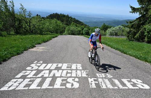 Le Phoenix - gîte 15 personnes parc naturel Vosges Saônoises - Foto 56