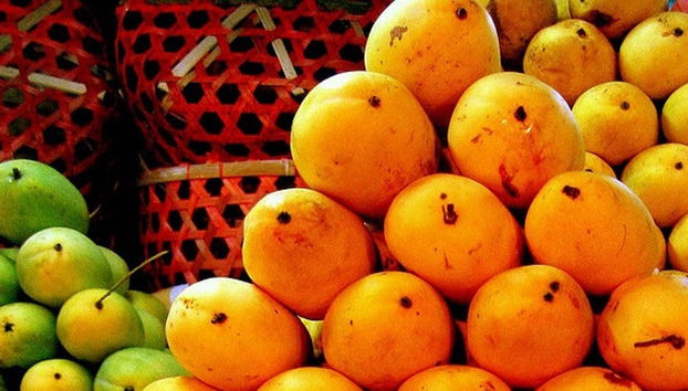 Tour dans la ville de Cebu - privé - Photo 4