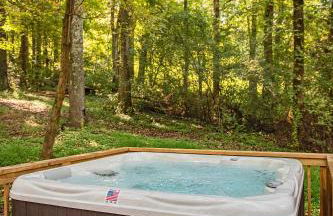 Lena Cabin Wooded Tiny Cabin - Hot Tub - Foto 22