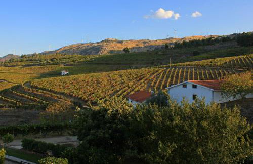 Quinta da Padrela Winery House - Foto 29