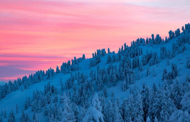 Superior Chalet mit 4 Schlafzimmern & Wellness - Foto 29