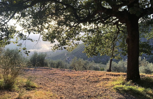 Setter House Agri Hotel - Foto 54