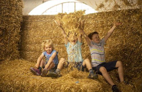 Gut Frielinghausen - Foto 9