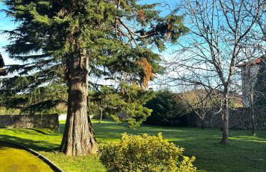 La Rectoral - Foto 31