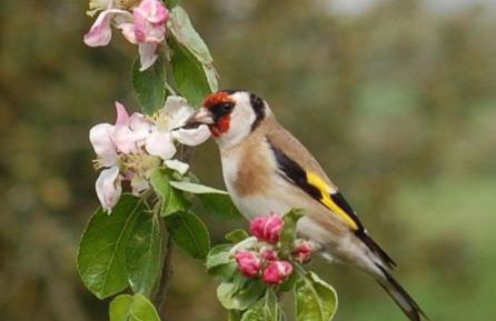 Tucking Mill View- Self Catering - Photo 44