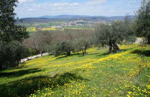 EcoResort Il Cantico della Natura - Photo 44