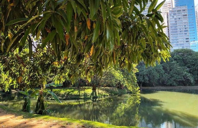 Hotel Areião - Photo 31