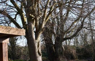 Ferienwohnung Boddenliebe - Foto 25