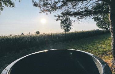 U Progu Lasu - Foto 15