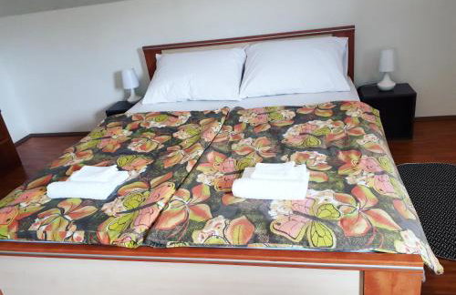 Apartman Lena - Foto 22