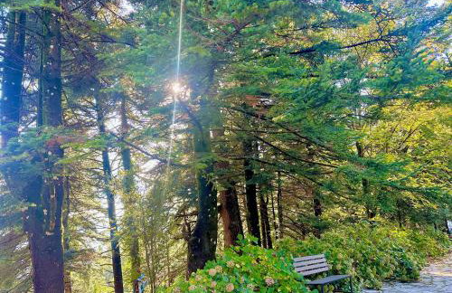 Forest cottage top of the world - Foto 9