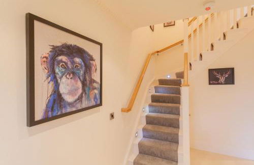 Escape Ordinary at Castle Hume - Foto 46