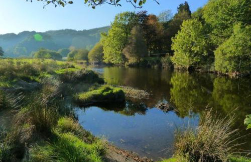 Dolmurgoch Snowdonia Cottage - Foto 10
