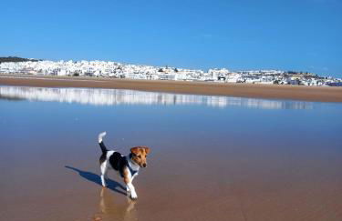 Casa El Cuartel with private seaview rooftop - Foto 28